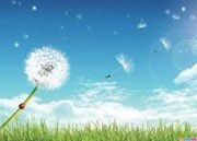 Hành trình đam mê của Sao mai Khánh Ly và những kỷ niệm tuổi học trò